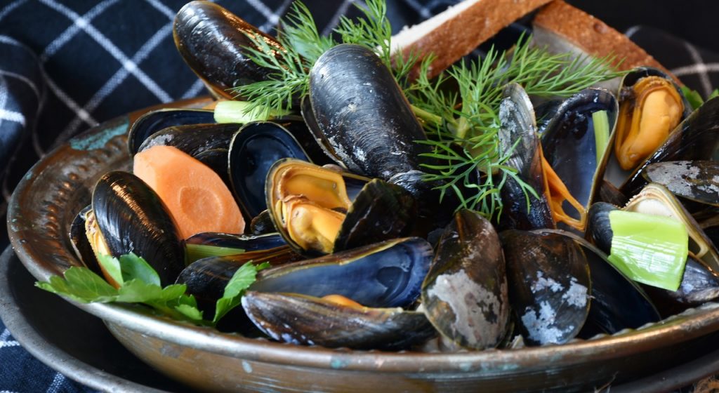 mussels, mussel, seafood-3148452.jpg